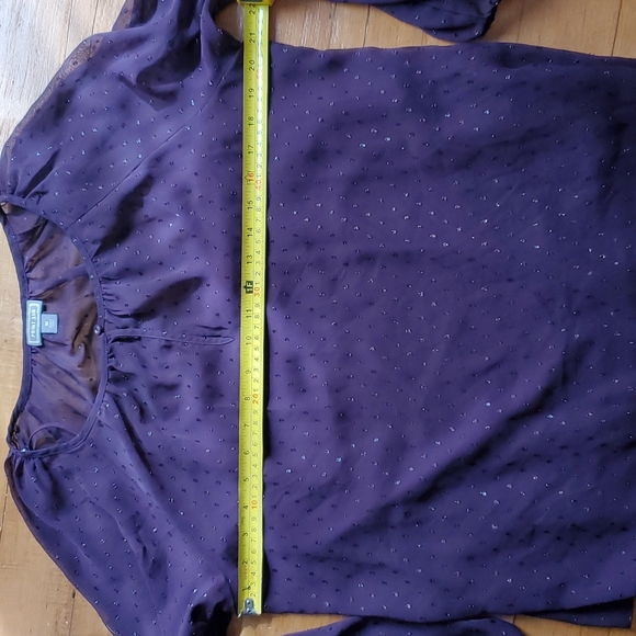 Point Sur sheer aubergine blouse & cami - Picture 10 of 12